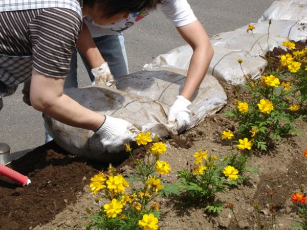 超歓迎 打ち込むだけで、簡単土留め・外観演出・侵入防止ができる、ワイドタイプのエ ブラック 12枚 簡単打ち込み土留めワイドストッパー 10732 -  その他 - hlt.no