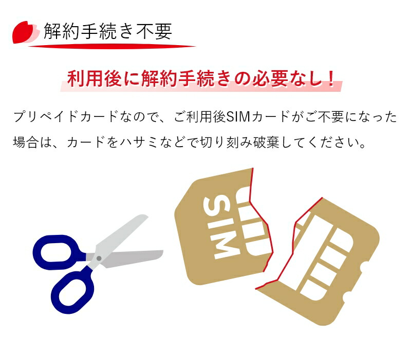 プリペイドSIM 全日通 AJC 7日間 100GB